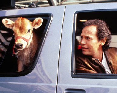 Billy Crystal in City Slickers Poster and Photo