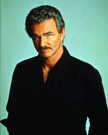 Burt Reynolds in B.L. Stryker Poster and Photo