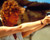 Susan Sarandon in Thelma & Louise Poster and Photo