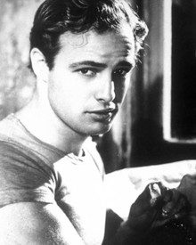 Marlon Brando in A Streetcar Named Desire aka Un Tramway Nomme Desir Poster and Photo