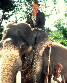 Harrison Ford in Indiana Jones and the Temple of Doom Poster and Photo