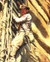 Harrison Ford in Indiana Jones and the Temple of Doom Poster and Photo