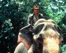 Harrison Ford in Indiana Jones and the Temple of Doom Poster and Photo