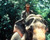 Harrison Ford in Indiana Jones and the Temple of Doom Poster and Photo