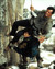 Sylvester Stallone & Janine Turner in Cliffhanger Poster and Photo