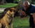 Michael Clarke Duncan Photograph and Poster - 1019548 Poster and Photo