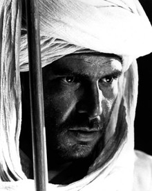Harrison Ford in Raiders of the Lost Ark Poster and Photo