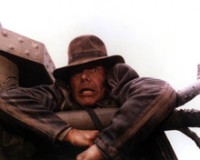 Harrison Ford in Indiana Jones and the Temple of Doom Poster and Photo