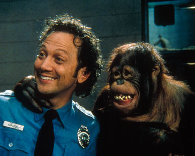Rob Schneider in The Animal Poster and Photo