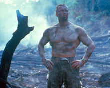 Arnold Schwarzenegger in Commando Poster and Photo