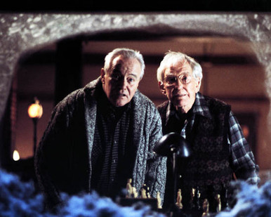 Jack Lemmon & Burgess Meredith in Grumpy Old Men Poster and Photo