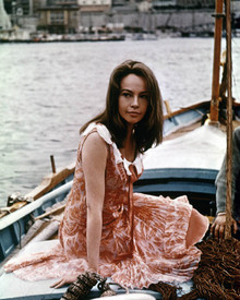 Leslie Caron in Fanny Poster and Photo