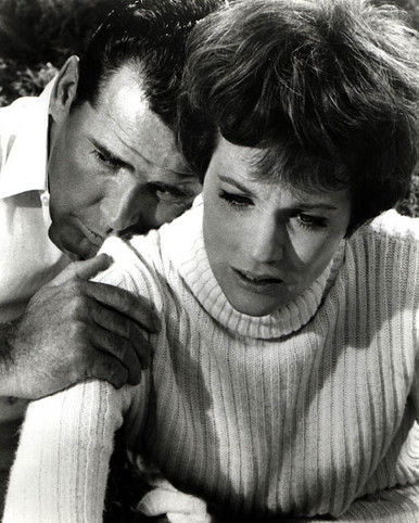 Julie Andrews & James Garner in The Americanization of Emily Poster and Photo