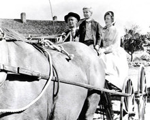 Alan Ladd & David Ladd Photograph and Poster - 1021996 Poster and Photo