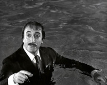 Peter Sellers in The Return of the Pink Panther Poster and Photo