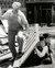 Stan Laurel & Oliver Hardy in Busy Bodies (Laurel & Hardy) Poster and Photo