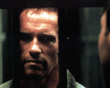 Arnold Schwarzenegger in Collateral Damage Poster and Photo