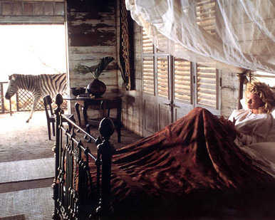 Kim Basinger in I Dreamed Of Africa aka Je Revais de l'Afrique Poster and Photo