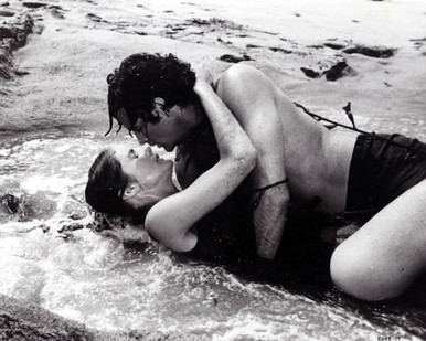 Robert Hays & Julie Hagerty in Airplane Poster and Photo