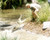 Steve Irwin in The Crocodile Hunter: Collision Course Poster and Photo