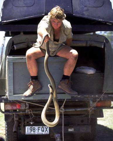 Steve Irwin in The Crocodile Hunter: Collision Course Poster and Photo