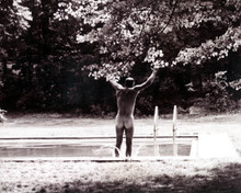 Burt Lancaster in The Swimmer aka Plovec Poster and Photo