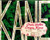 Poster of Citizen Kane Poster and Photo