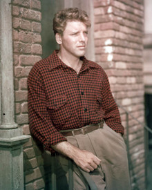 Burt Lancaster Poster and Photo