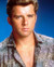 Maxwell Caulfield in The Colbys Poster and Photo