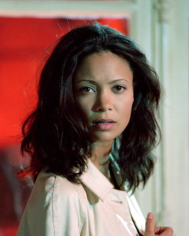 Thandie Newton in The Truth About Charlie Poster and Photo