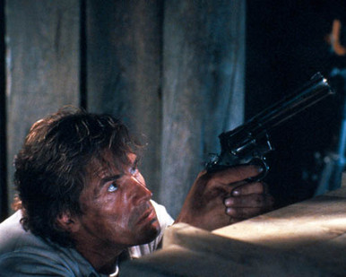 Don Johnson in Dead Bang Poster and Photo