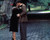 Bullets Over Broadway Poster and Photo