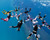 Drop Zone Poster and Photo