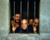 Mala Fama aka Grosse fatigue Poster and Photo