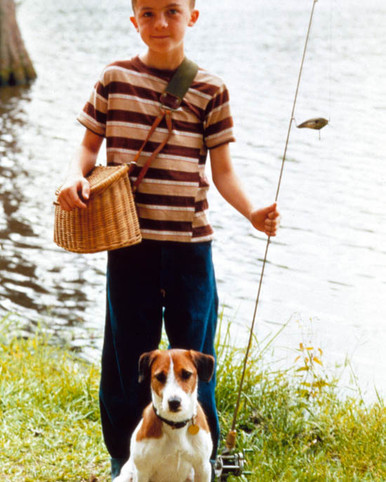 Frankie Muniz in My Dog Skip Poster and Photo