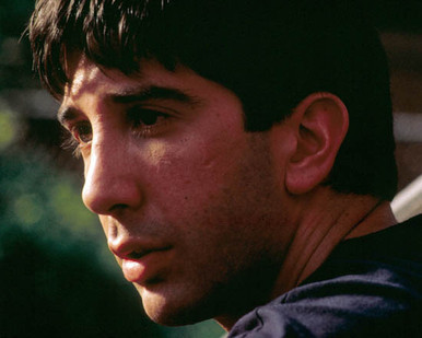 David Schwimmer in The Pallbearer Poster and Photo