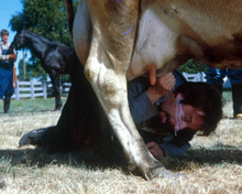 Tom Green in Freddy Got Fingered Poster and Photo