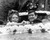 George Lazenby & Diana Rigg in On Her Majesty's Secret Service Poster and Photo