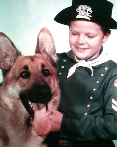 Rin Tin Tin in The Lone Defender Poster and Photo