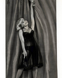 Elke Sommer in A Shot in the Dark Poster and Photo