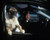 Will Smith in Men in Black II Poster and Photo