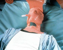 The Hollow Man Poster and Photo