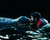 Lake Placid Poster and Photo