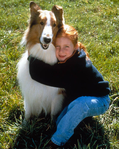 Lassie Poster and Photo