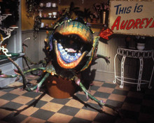 Little Shop of Horrors Poster and Photo
