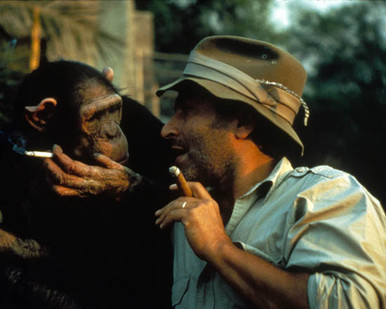 Volunteers Poster and Photo