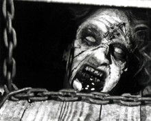 The Evil Dead Poster and Photo