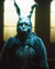 Donnie Darko Poster and Photo