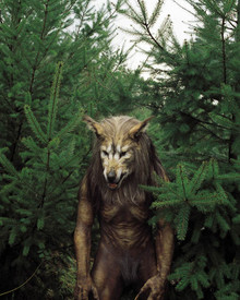 Dog Soldiers Poster and Photo