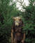 Dog Soldiers Poster and Photo